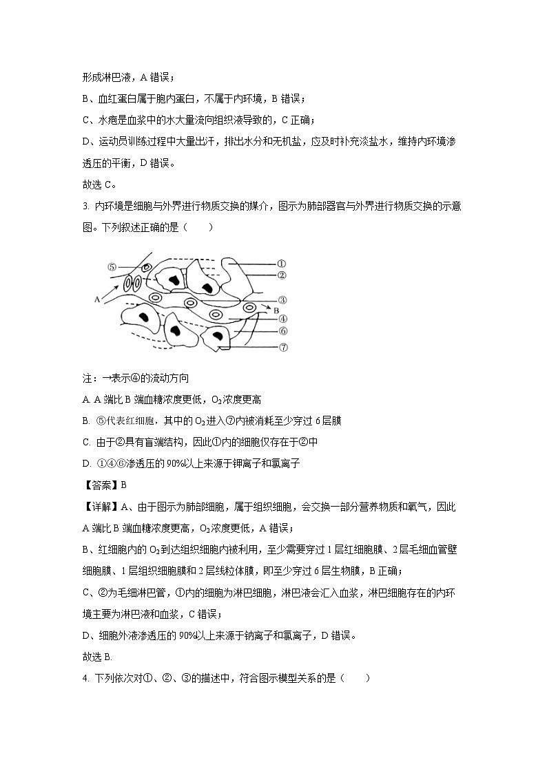 河南省十校2024-2025学年高二上学期10月月考生物试卷(解析版)第2页
