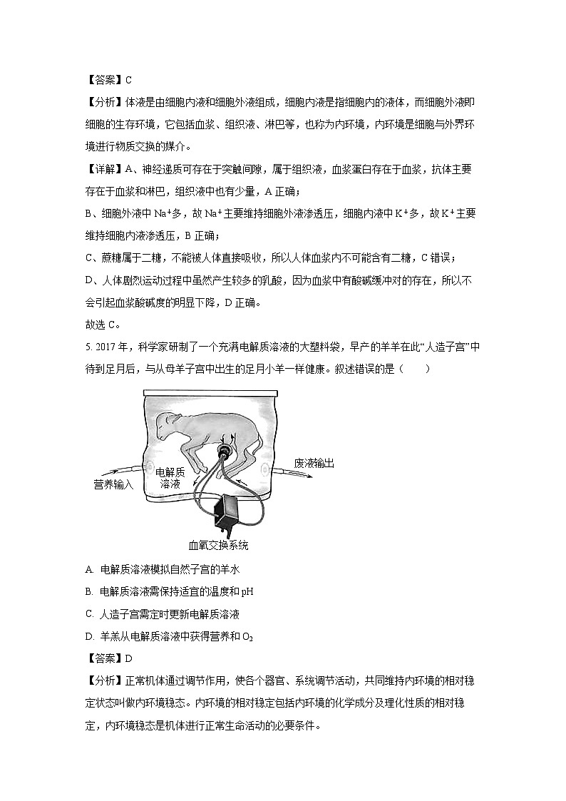 广东省广州市第二中学2023-2024学年高二上学期期中生物试卷(解析版)第3页