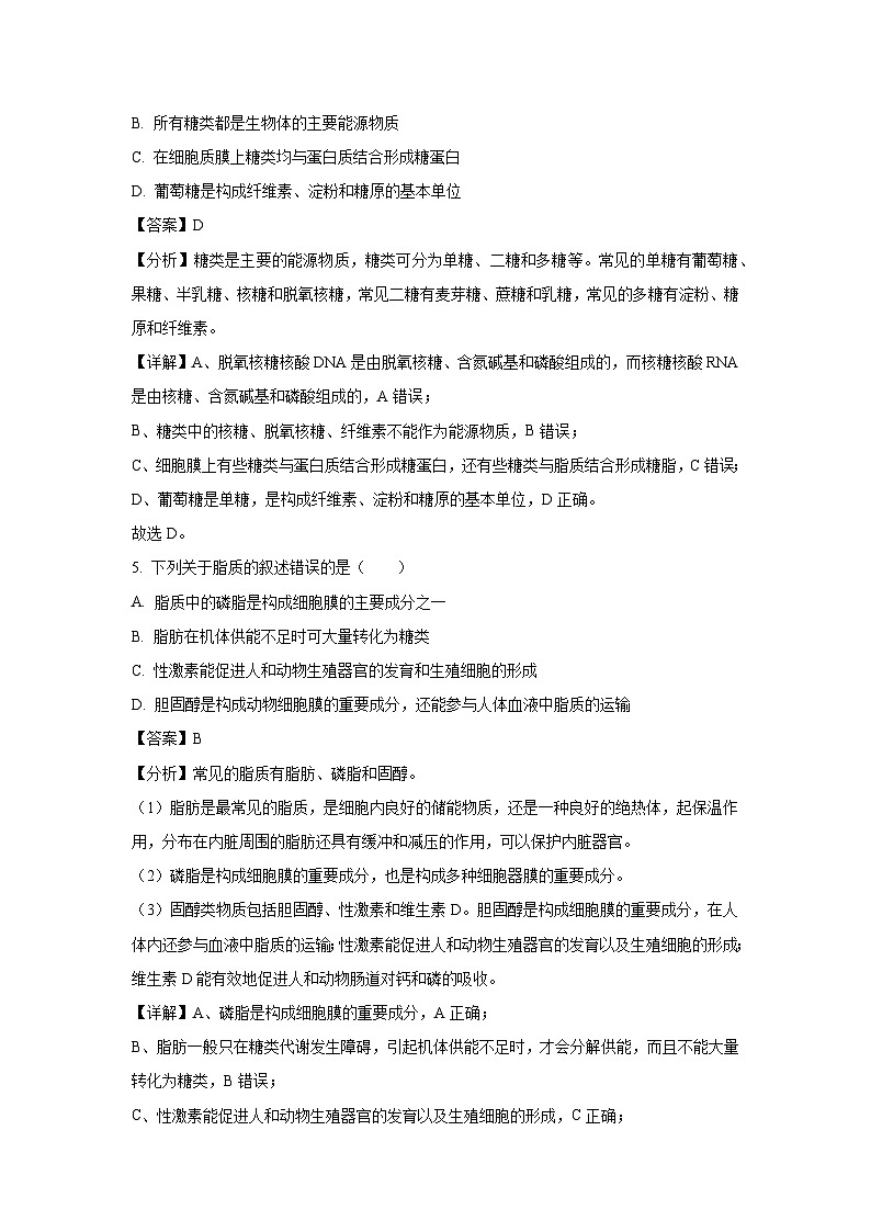 江苏省苏州市2024-2025学年高一上学期11月期中考试生物试卷(解析版)第3页