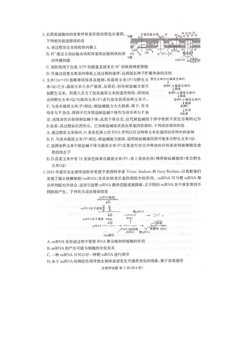 湖南省湘东十校2025届高三10月联考生物试题第2页