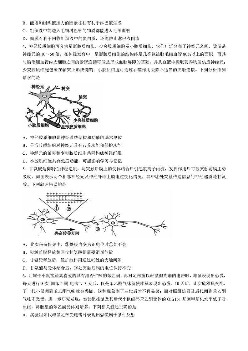 安徽省黄山市黄山八校联考2024~2025学年高二(上)期中生物试卷(含解析)第2页