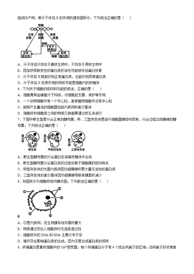 辽宁省实验中学2024-2025学年高一上学期期中考试生物试题02