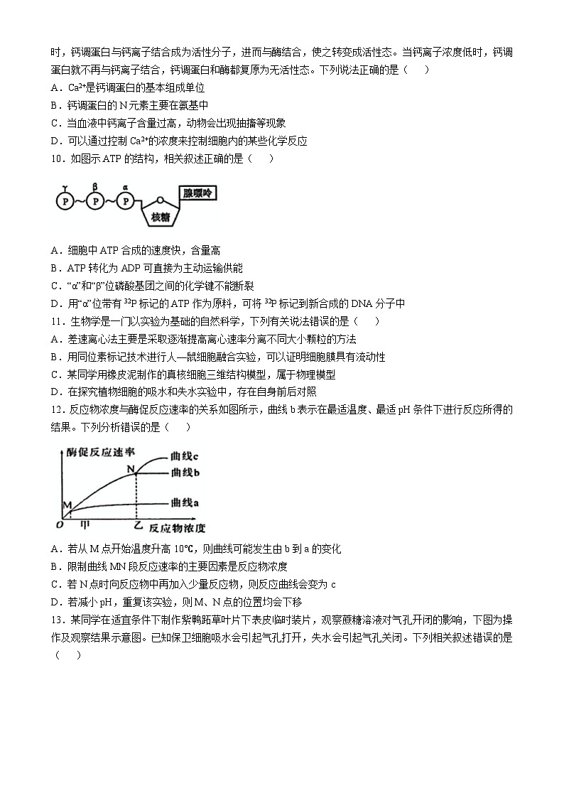 辽宁省实验中学2024-2025学年高一上学期期中考试生物试题03