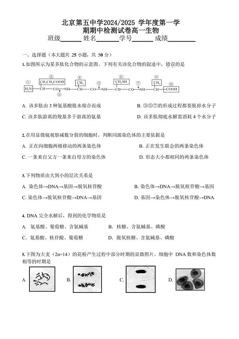 北京市第五中学2024~2025学年高一(上)期中生物试卷(含答案)第1页