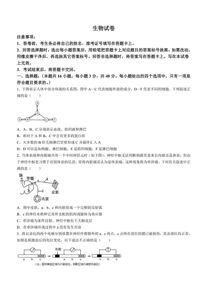 四川省南充市嘉陵区四川省南充市嘉陵第一中学2024~2025学年高二(上)期中生物试卷(含答案)第1页
