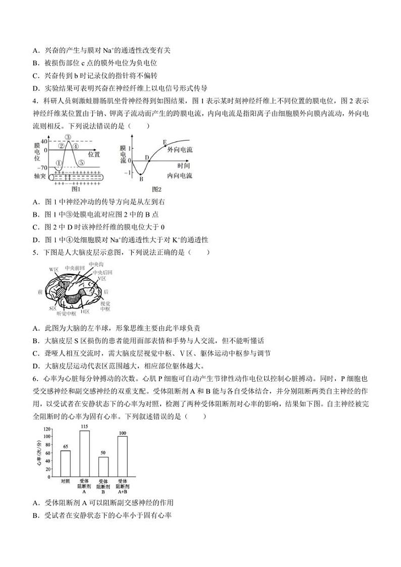 四川省南充市嘉陵区四川省南充市嘉陵第一中学2024~2025学年高二(上)期中生物试卷(含答案)第2页