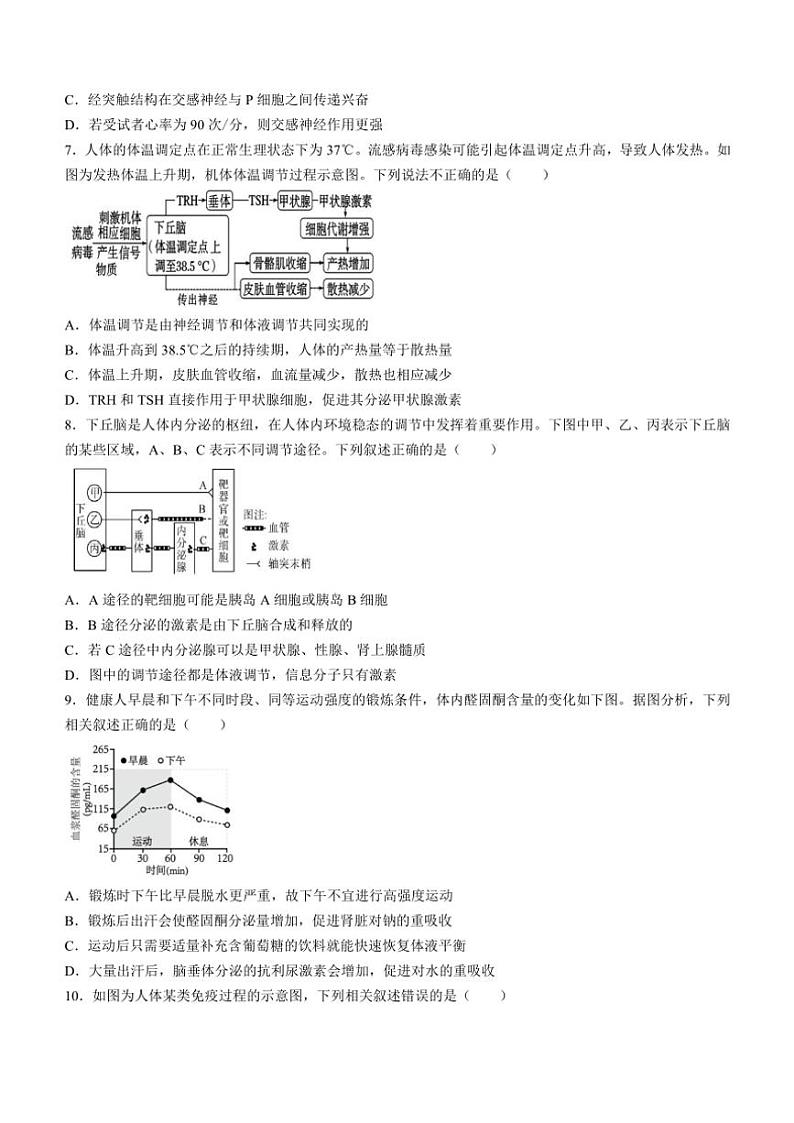 四川省南充市嘉陵区四川省南充市嘉陵第一中学2024~2025学年高二(上)期中生物试卷(含答案)第3页