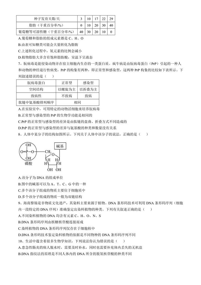 海南省海口市琼山中学2024~2025高一(上)期中生物试卷(含答案)第2页