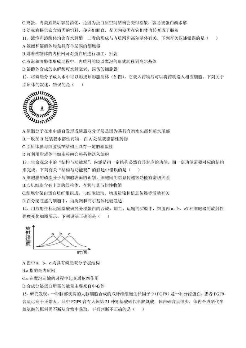 海南省海口市琼山中学2024~2025高一(上)期中生物试卷(含答案)第3页