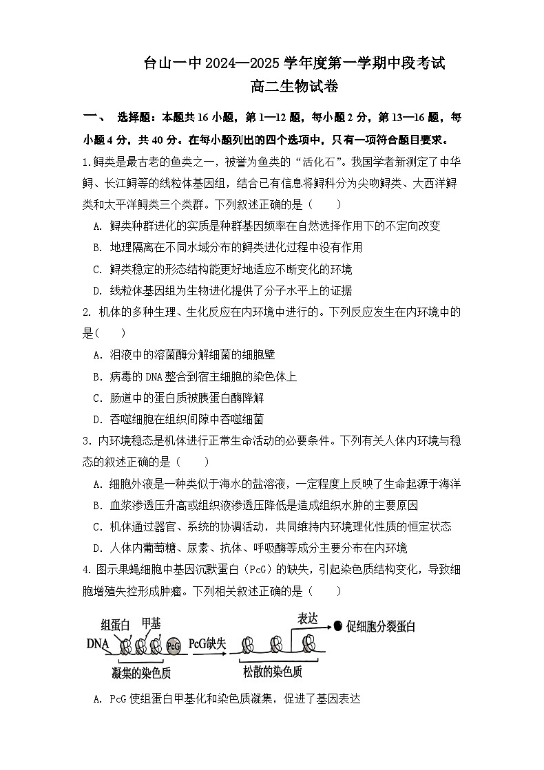 广东省台山市第一中学2024-2025学年高二上学期11月期中考试生物试题第1页
