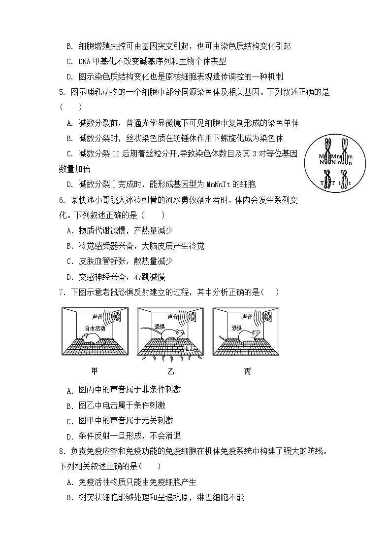 广东省台山市第一中学2024-2025学年高二上学期11月期中考试生物试题第2页