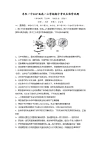 安徽省阜阳市第一中学2024-2025学年高一上学期期中生物试卷（Word版附答案）