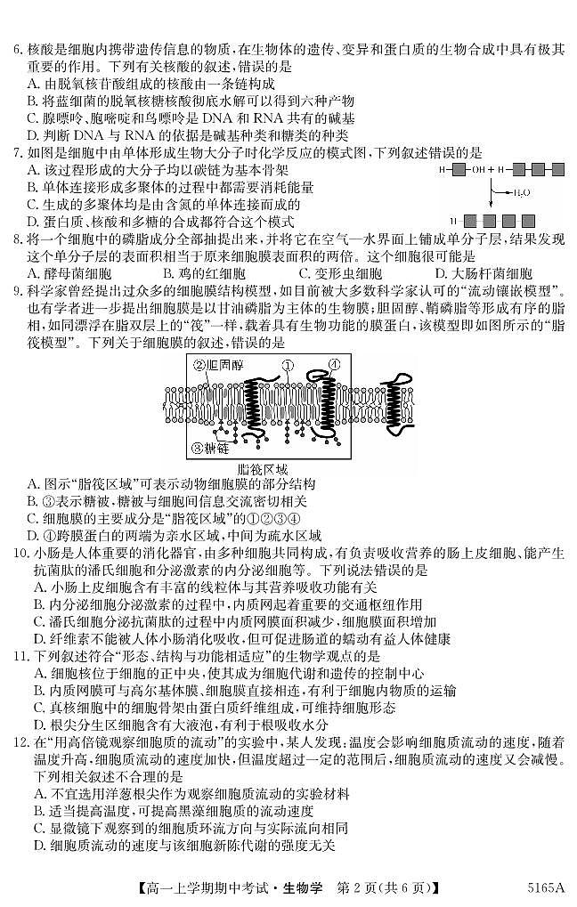 5165A 生物学第2页