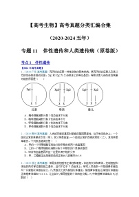 【高考生物】  高考真题分类汇编合集（2020-2024五年）专题11  伴性遗传和人类遗传病