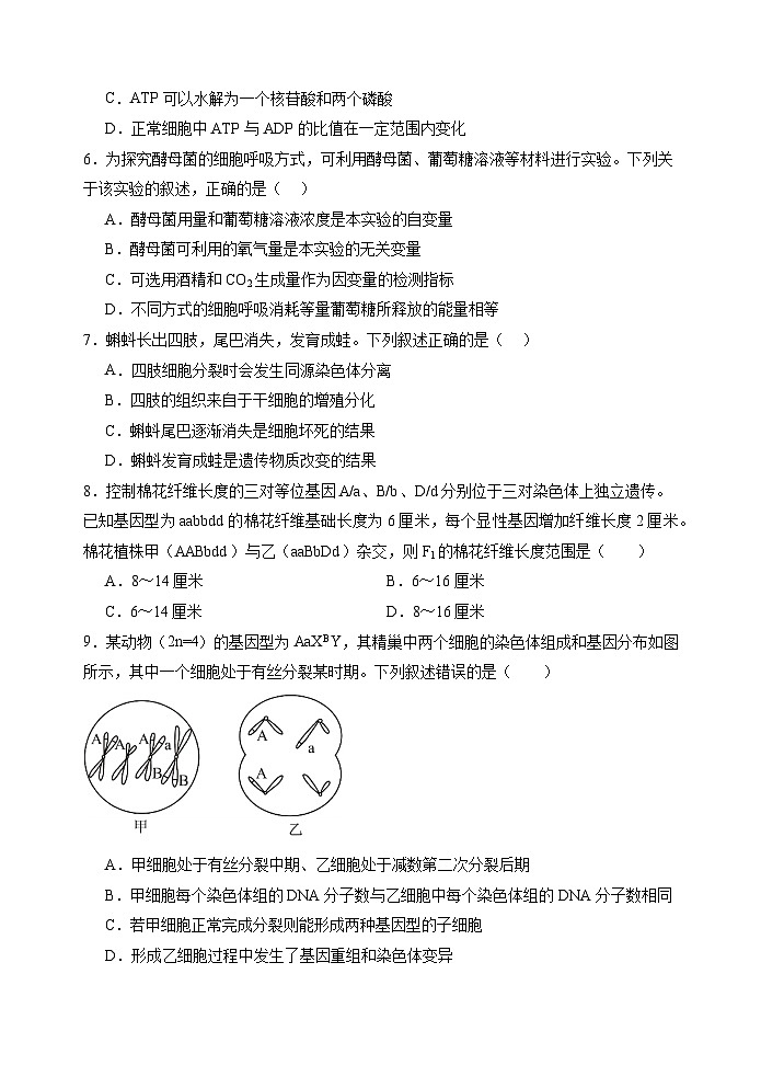 高二生物期中考试卷+答案第2页