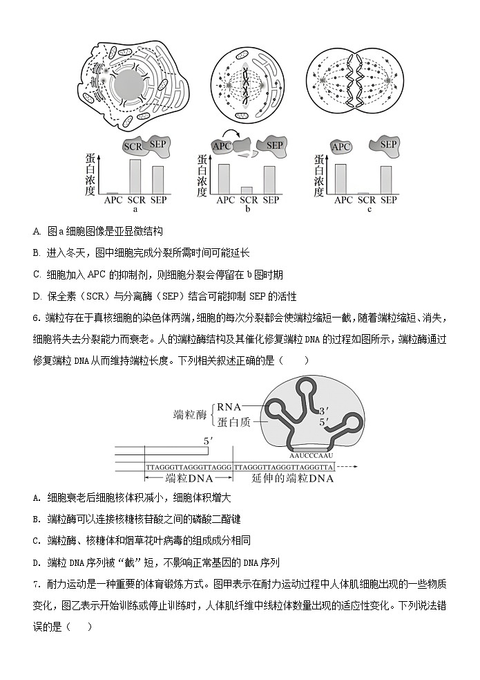 1818 - 副本第3页