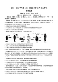 遼寧省七校協(xié)作體2024-2025學(xué)年高三上學(xué)期11月期中聯(lián)考試題 生物 Word版含答案