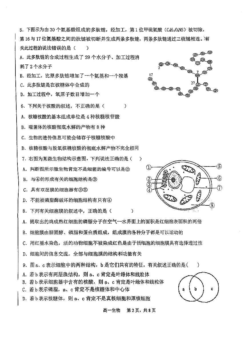 天津市北辰區(qū)天津市第四十七中學(xué)2024-2025學(xué)年高一上學(xué)期11月期中生物試題第2頁