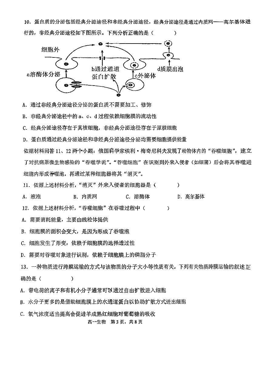 天津市北辰區(qū)天津市第四十七中學(xué)2024-2025學(xué)年高一上學(xué)期11月期中生物試題第3頁