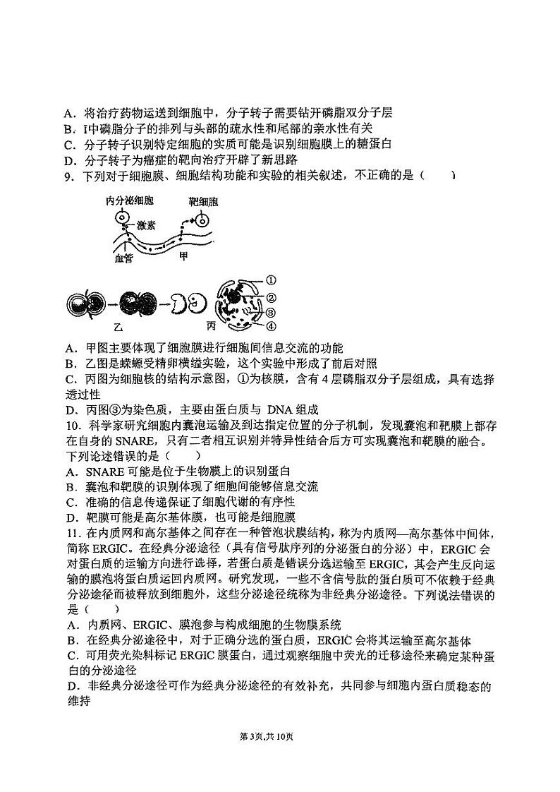 山东省淄博中学2024-2025学年高一上学期期中考试生物试题03
