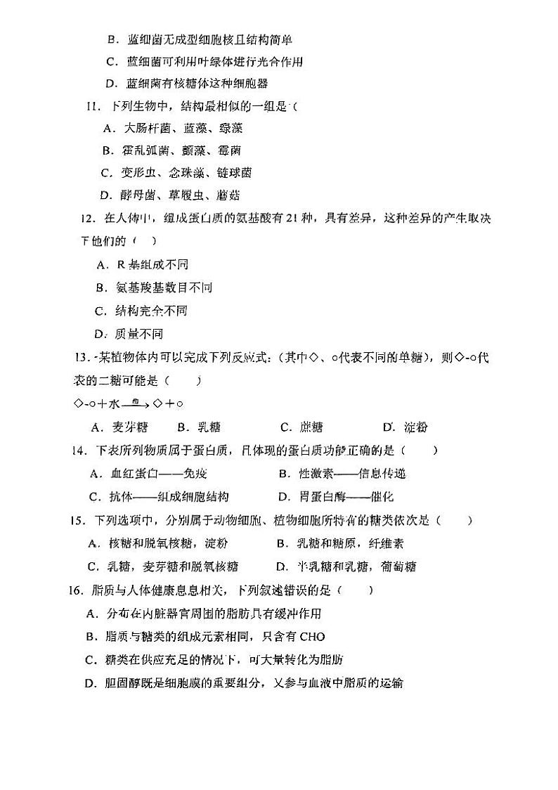 四川省内江市第七中学2024-2025学年高一上学期期中考试生物试卷第3页