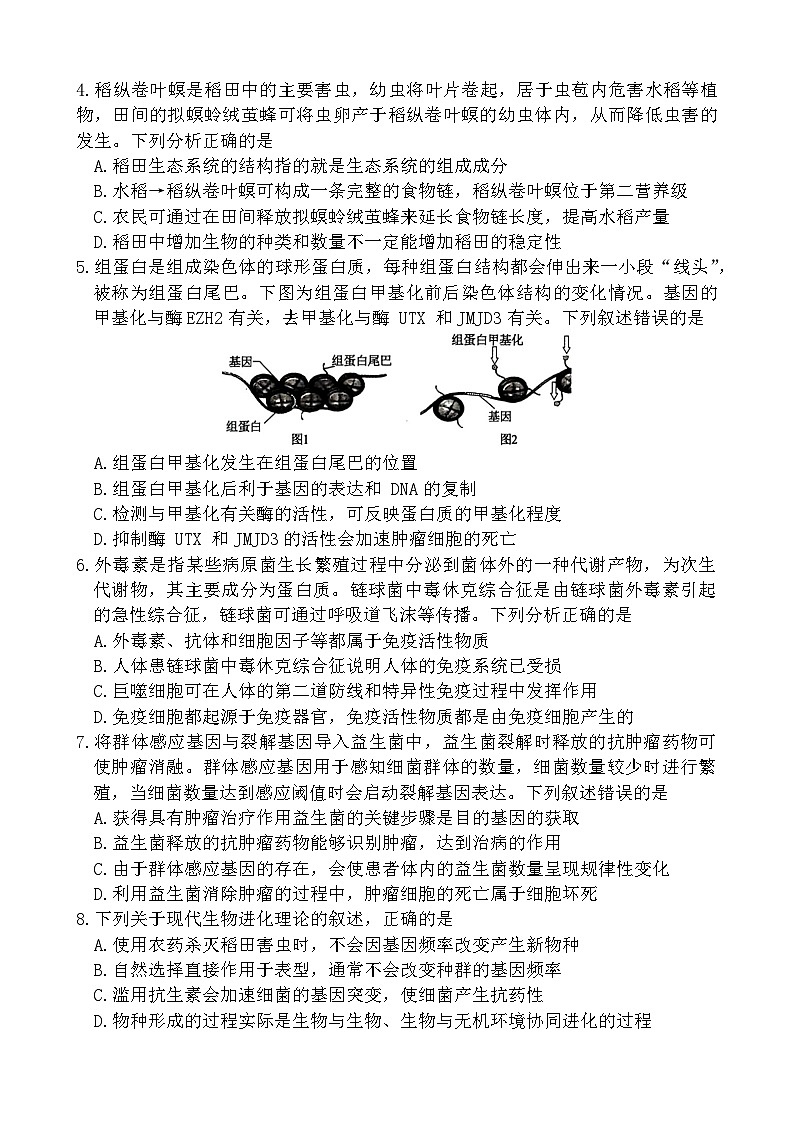 河北省沧州市运东五校2024-2025学年高三上学期11月期中生物试题(001)02