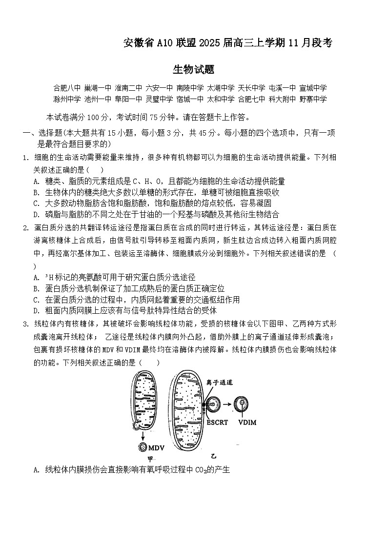 安徽省A10联盟2024~2025学年高三上学期11月月考生物试题第1页