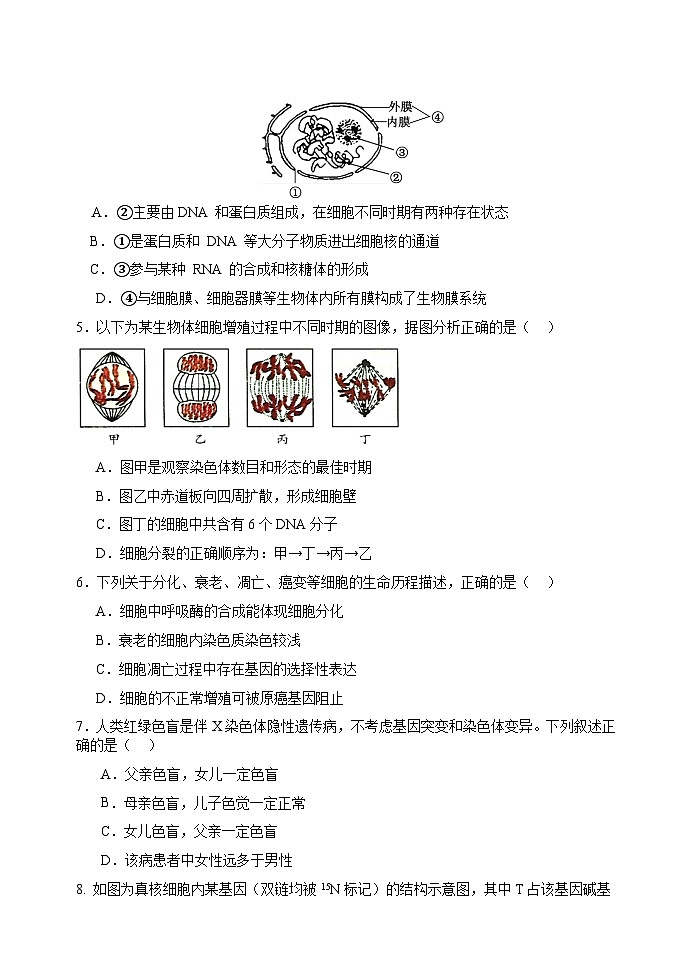 生物试题第2页