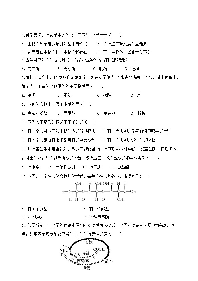 2025盐城五校联考高一上学期11月期中考试生物含答案第2页