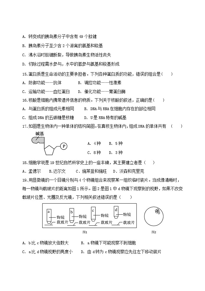2025盐城五校联考高一上学期11月期中考试生物含答案第3页