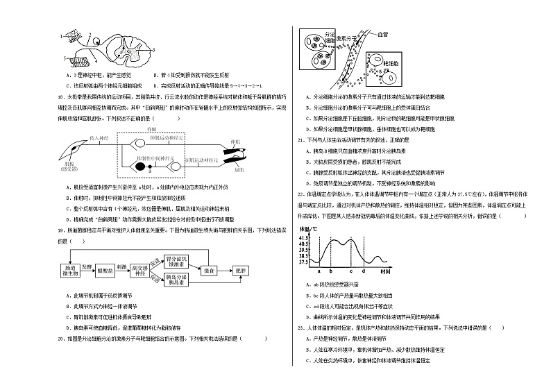 广东省深圳市深圳盟校2022-2023学年高二上学期11月期中考试生物试题03