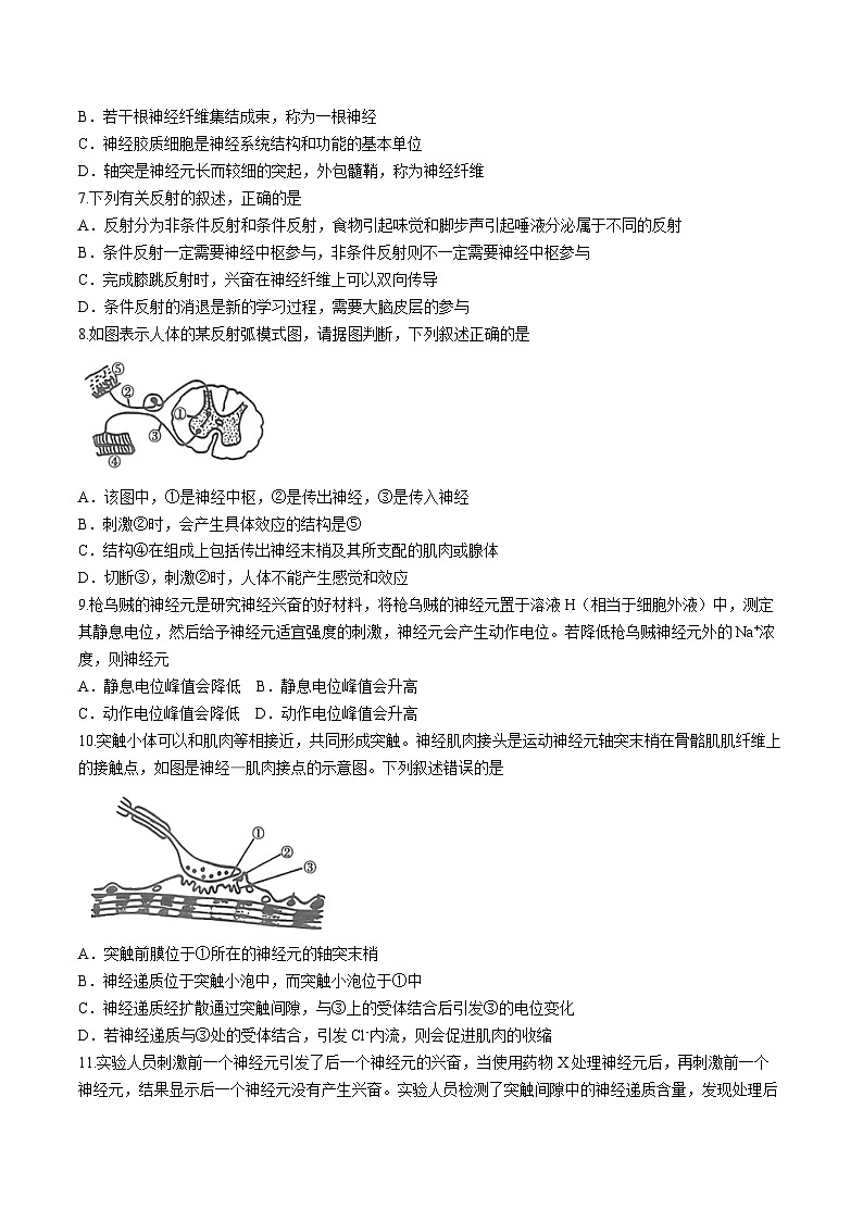 河南省信阳市2024-2025学年高二上学期11月期中考试生物试题(Word版附解析)第2页