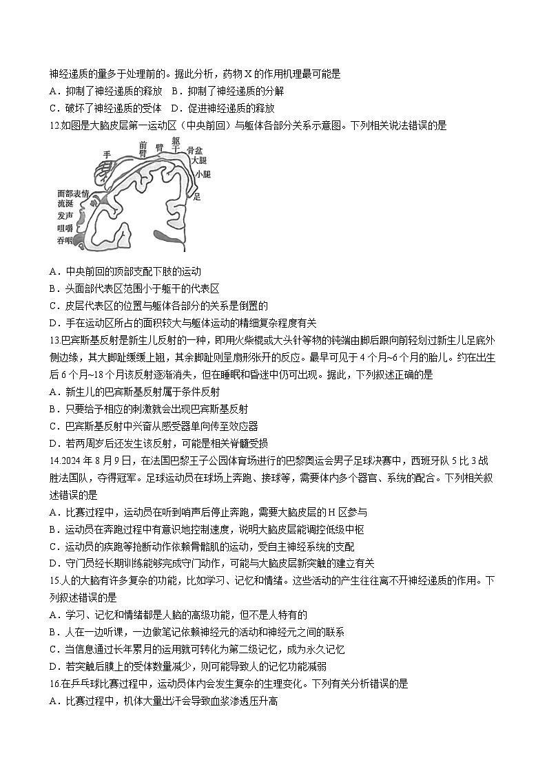 河南省信阳市2024-2025学年高二上学期11月期中考试生物试题(Word版附解析)第3页