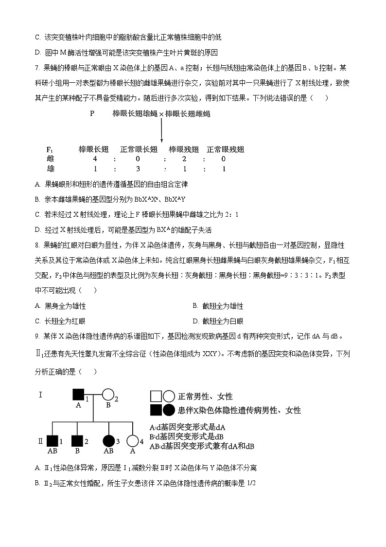山东省实验中学2025届高三上学期第二次诊断考试生物试题第3页