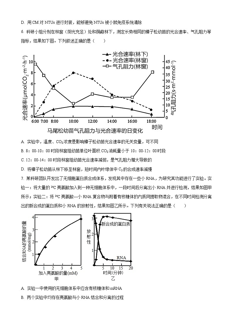 山东省泰安第一中学2025届高三上学期11月月考生物试题(Word版附解析)03