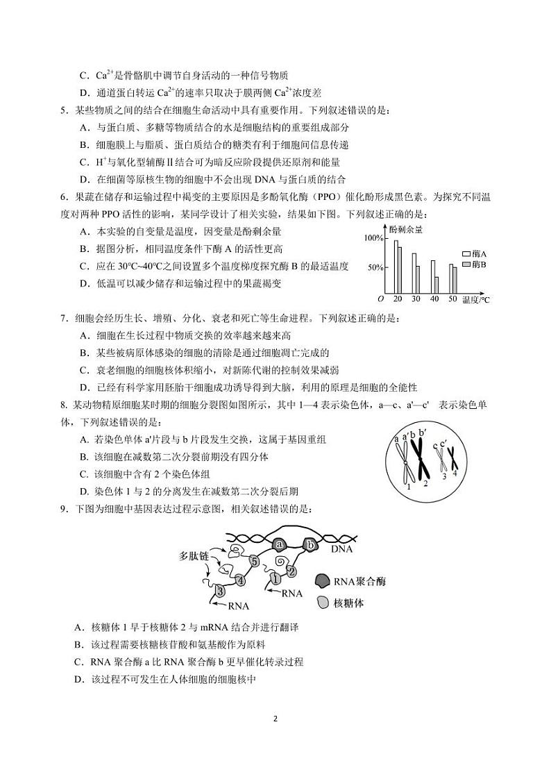 2024-2025学年上学期高二年级第一次月考-生物试卷第2页
