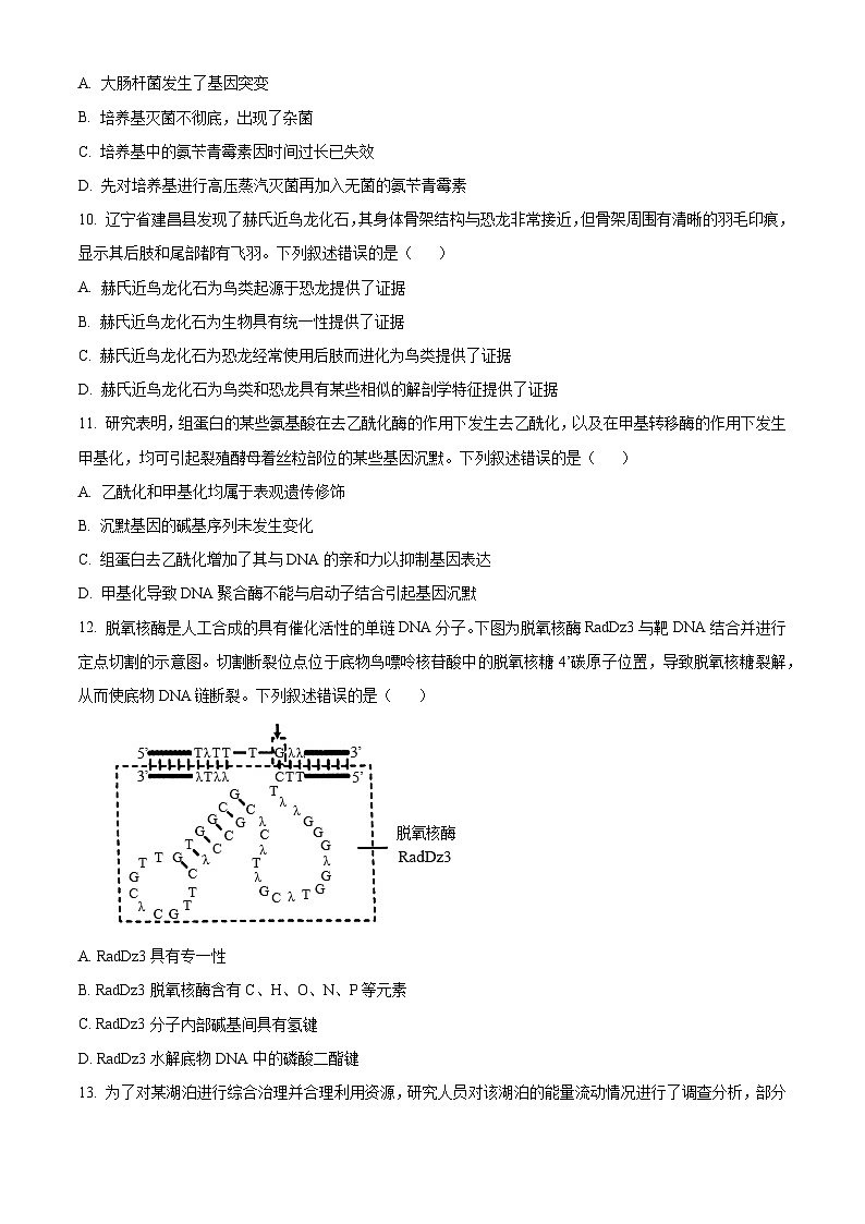 2025届浙江省金华十校高三一模生物试题 Word版无答案第3页