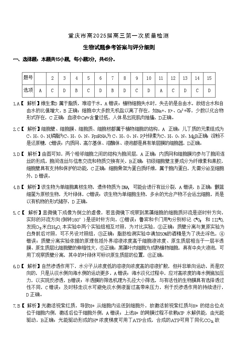 重庆市南开中学高2025届高三第一次质量检测+生物答案第1页