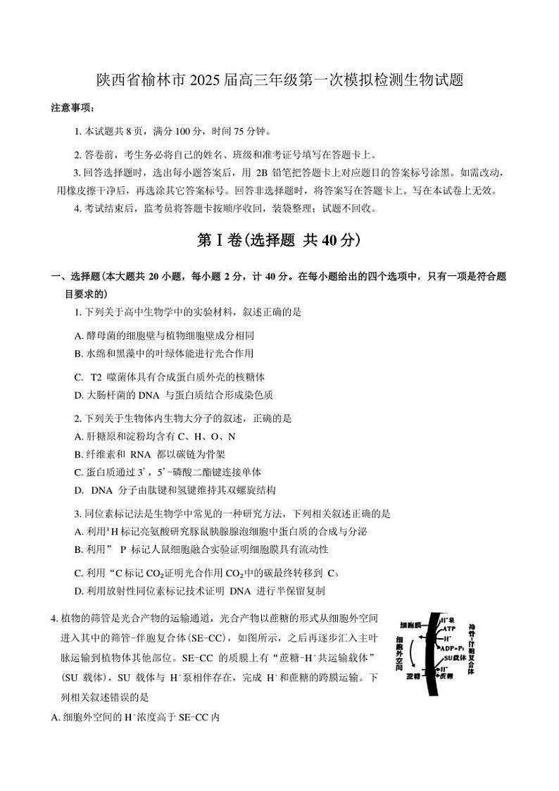陕西省榆林市2025届高三年级第一次模拟检测生物试卷(含答案)第1页