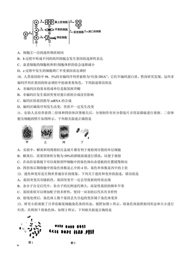 陕西省渭南市韩城市2024~2025学年高三(上)期中生物试卷(含解析)第3页