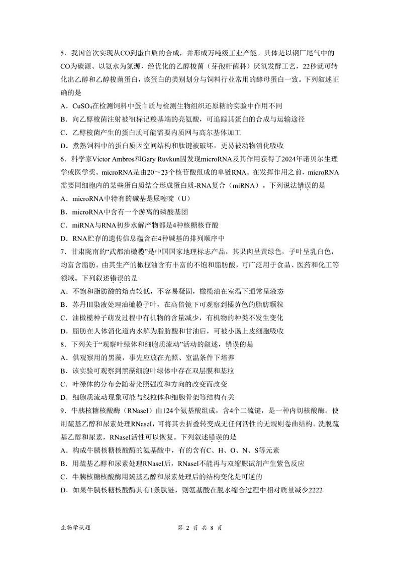 安徽省阜阳市第一中学2024~2025学年高一(上)期中生物试卷(含解析)第2页