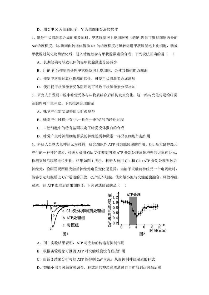 福建省福州市第三中学2024~2025学年高二(上)期中生物试卷(含答案)第2页