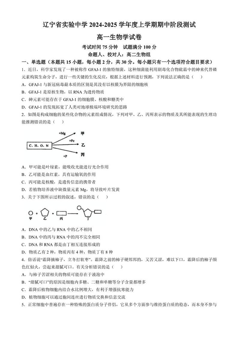 辽宁省实验中学2024~2025学年高一(上)期中生物试卷(含答案)第1页