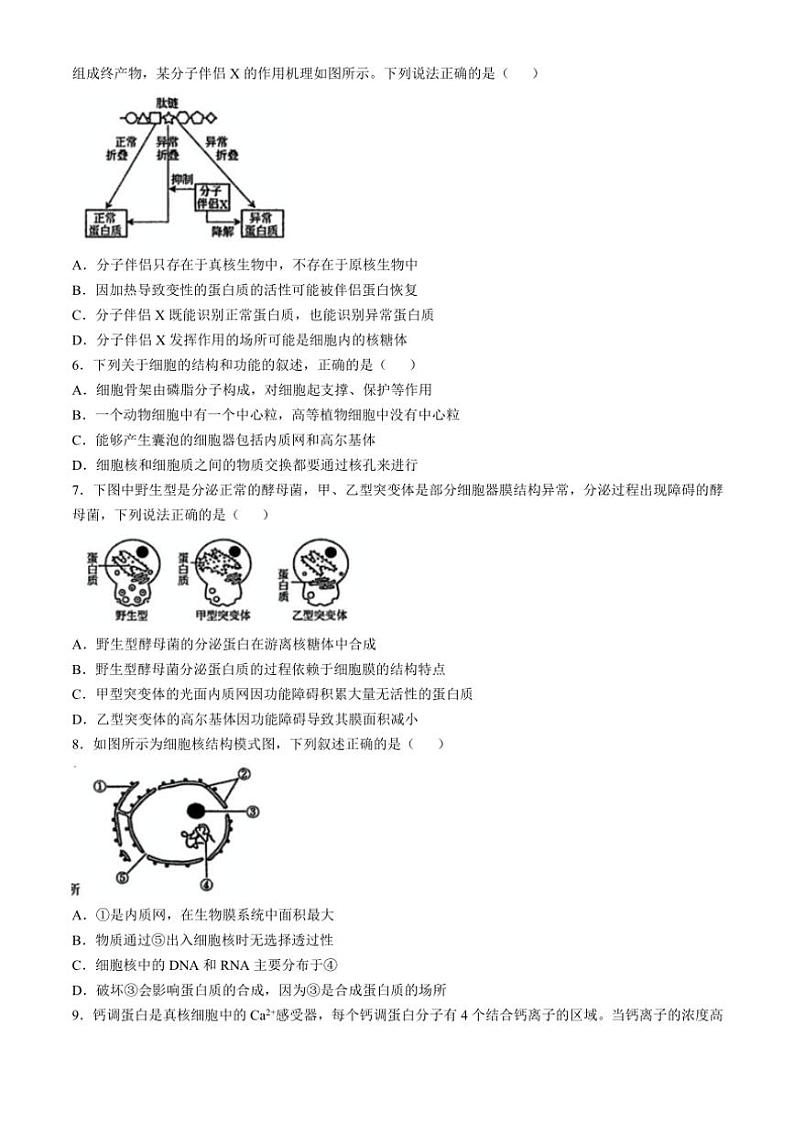 辽宁省实验中学2024~2025学年高一(上)期中生物试卷(含答案)第2页