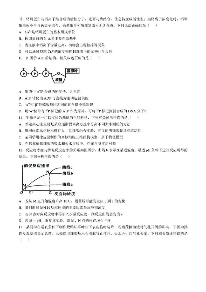 辽宁省实验中学2024~2025学年高一(上)期中生物试卷(含答案)第3页