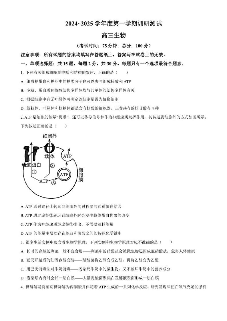 江苏省泰州市靖江市2024~2025学年高三(上)期中生物试卷(含答案)第1页