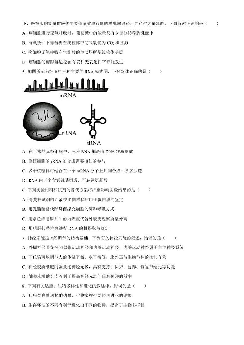 江苏省泰州市靖江市2024~2025学年高三(上)期中生物试卷(含答案)第2页