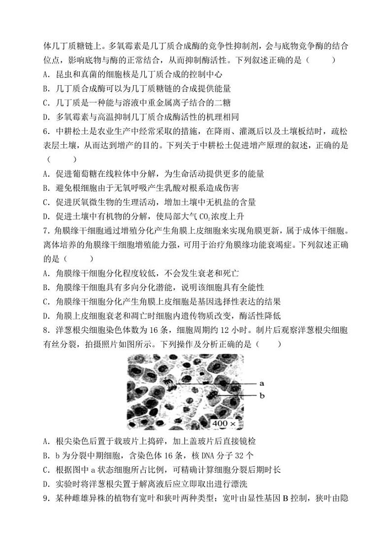 福建省福州市八县(市)协作校2024~2025学年高三(上)期中联考试卷生物(含答案)第2页