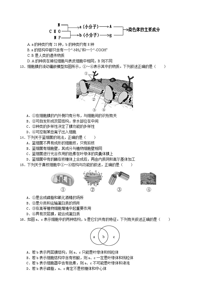 高一生物2、4-8、11-17第3页