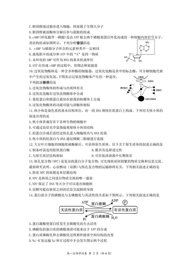 江苏省连云港市灌南县2024-2025学年高一上学期11月期中生物试题02